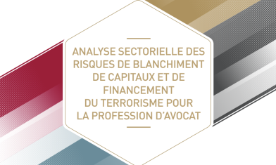 CNB-Visuel-AnalyseSectorielle-Risques-Blanchiment-Capitaux-et-Financement-Terrorisme-2020