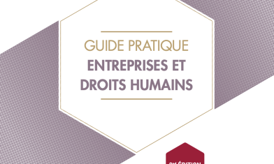 CNB-Visuel-GuidePratique-Entreprises-et-droits-humains-2020