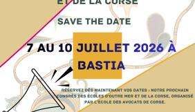 Corse 699de11e08c8c742368635.png