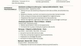 CV Assistante Juridique 2026 69bd16fe90ec2959678098.jpg