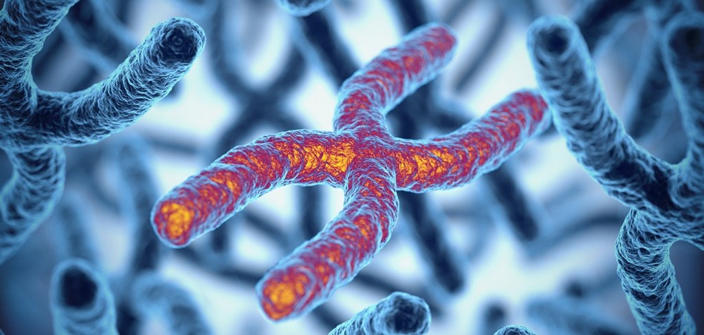 The Future of Humanity: Genetic Engineering, CRISPR, and Beyond