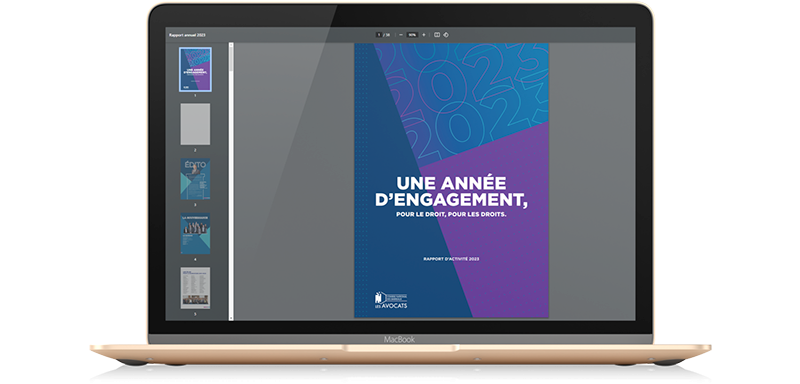 Télécharger le rapport d'activité CNB 2023 