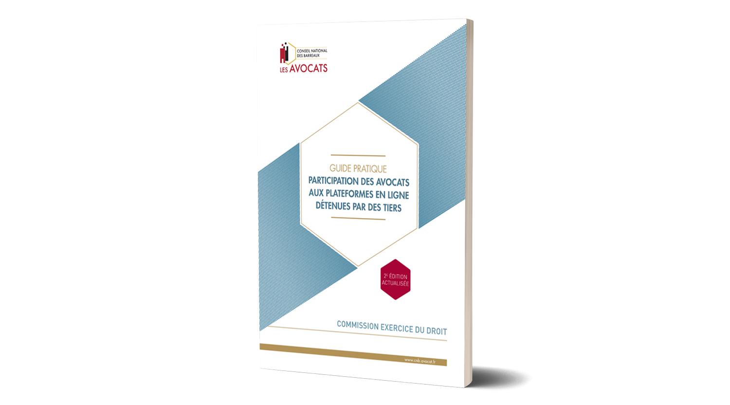 Guide sur la participation des avocats aux plateformes en ligne détenues par des tiers 