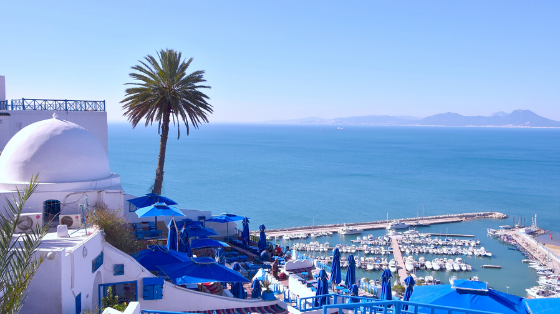 Mailshimp News 6942c19610bb54.08179963.png