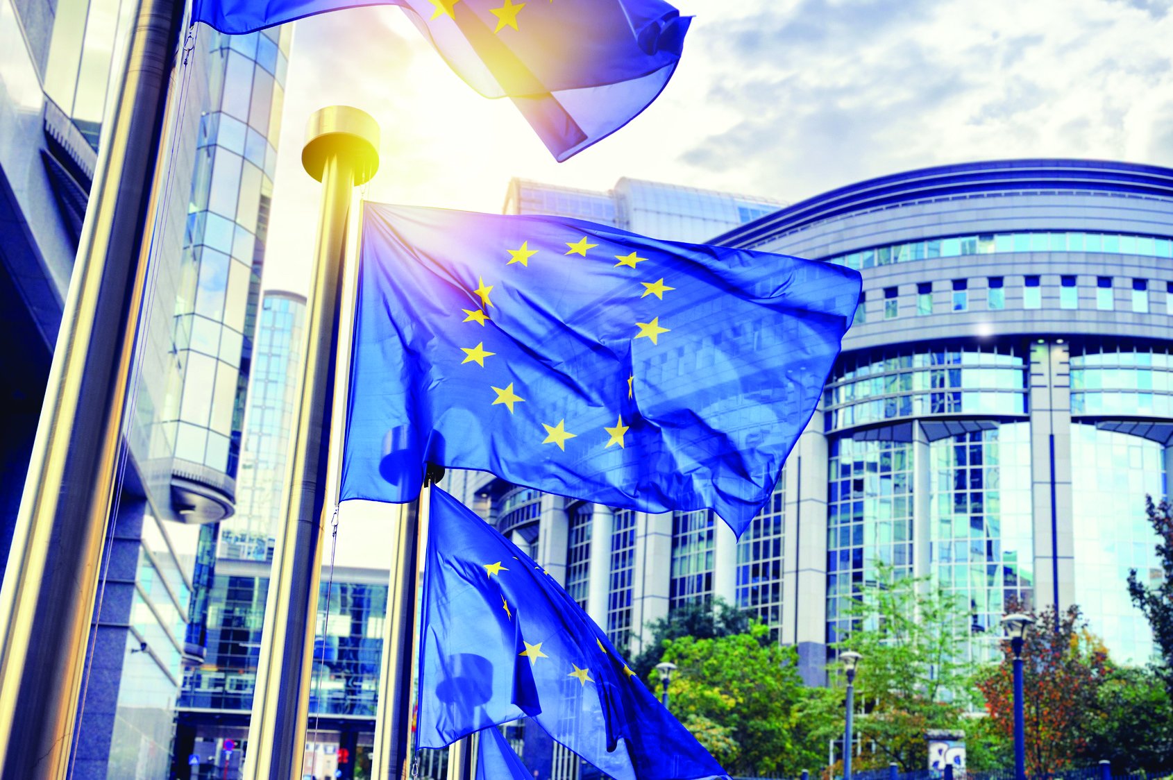 Parlement europeen 69443644456682.36329702.jpg