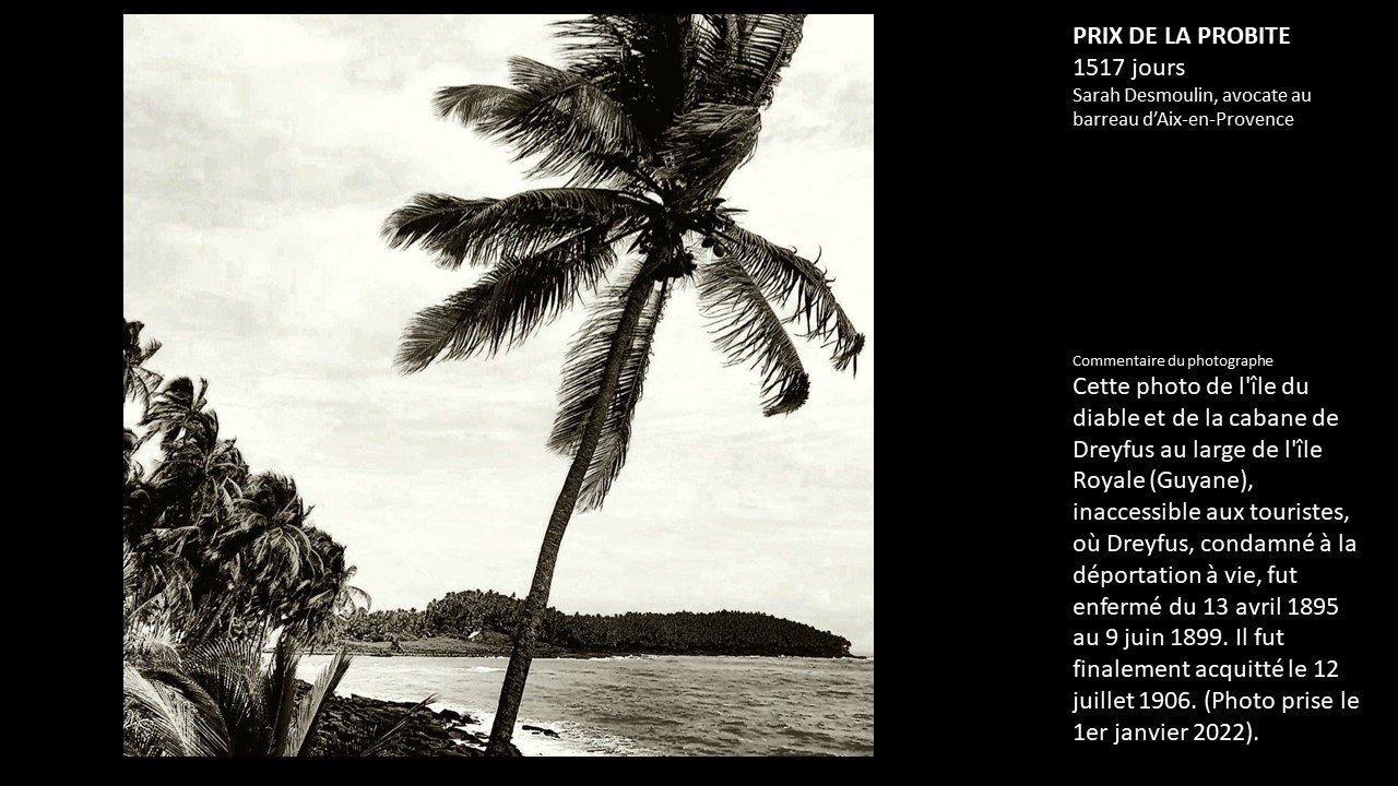 Photo Probite 694435e15d4c02.56928977.JPG