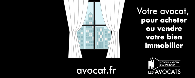 avocat fr MandataireImmo 694435c80cea89.80457520.png
