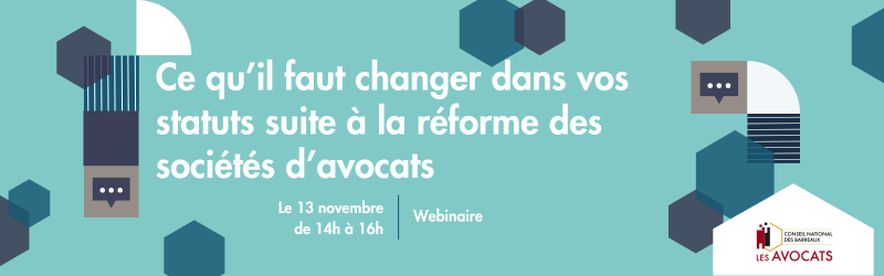 Ce qu il faut changer dans vos statuts suite a la reforme des societes d avocats 68c19a59b03ff3.33696700.png