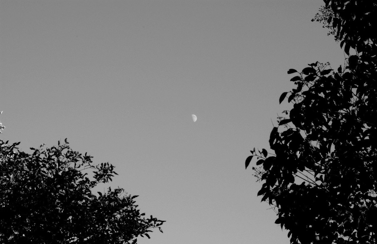 Vincent Montagne 69444e9c1b1299.92118646.jpg