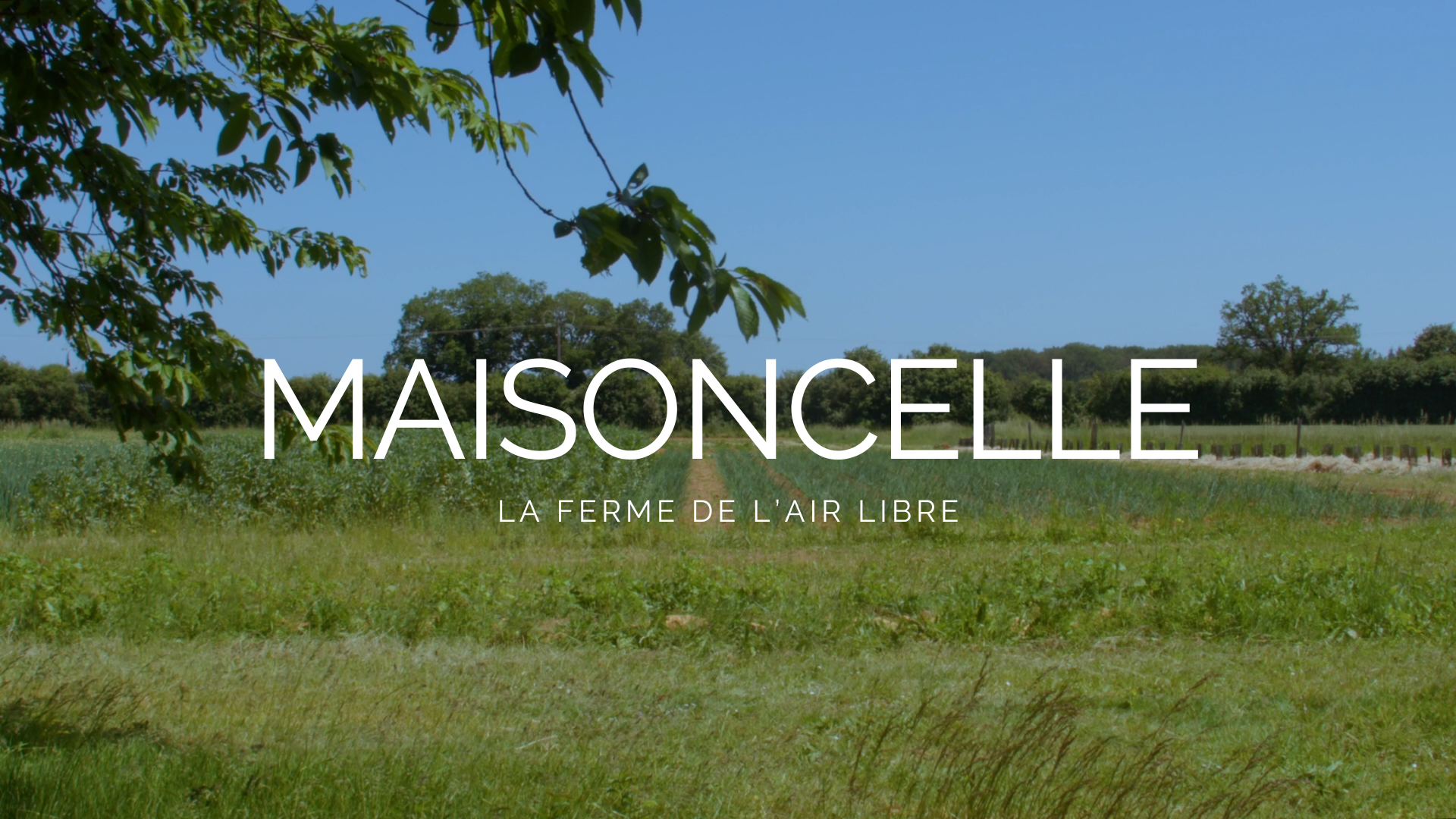 Affiche film titre seul Maisoncelle